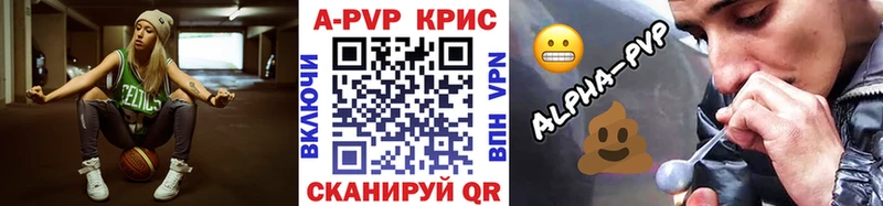 дарнет шоп  Сунжа  Alpha PVP СК 
