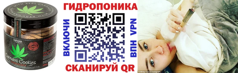 как найти   Сунжа  ОМГ ОМГ ONION  Печенье с ТГК конопля 