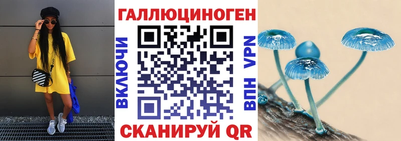 гидра   хочу   Сунжа  Галлюциногенные грибы MAGIC MUSHROOMS 