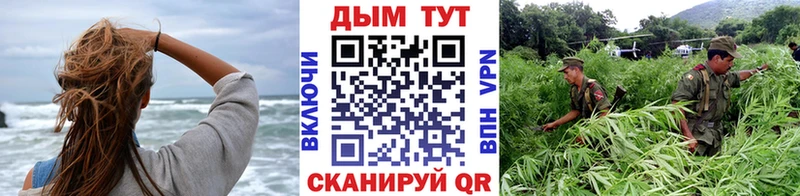 что такое   мега tor  Бошки Шишки Ganja  Сунжа 